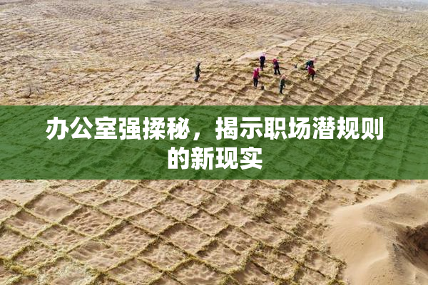办公室强揉秘，揭示职场潜规则的新现实