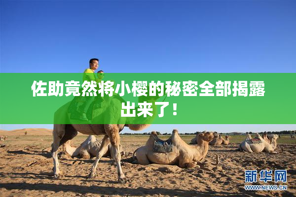 佐助竟然将小樱的秘密全部揭露出来了！