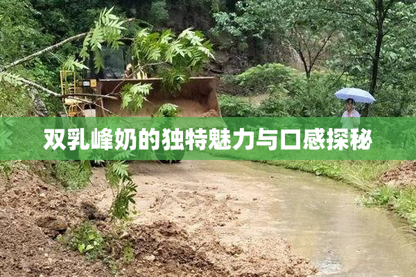 双乳峰奶的独特魅力与口感探秘