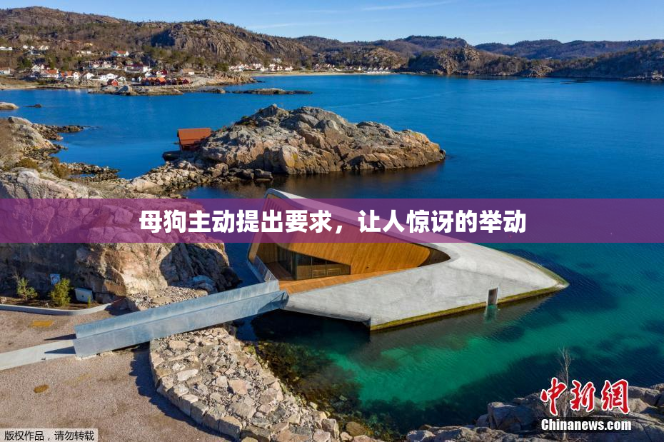 母狗主动提出要求，让人惊讶的举动