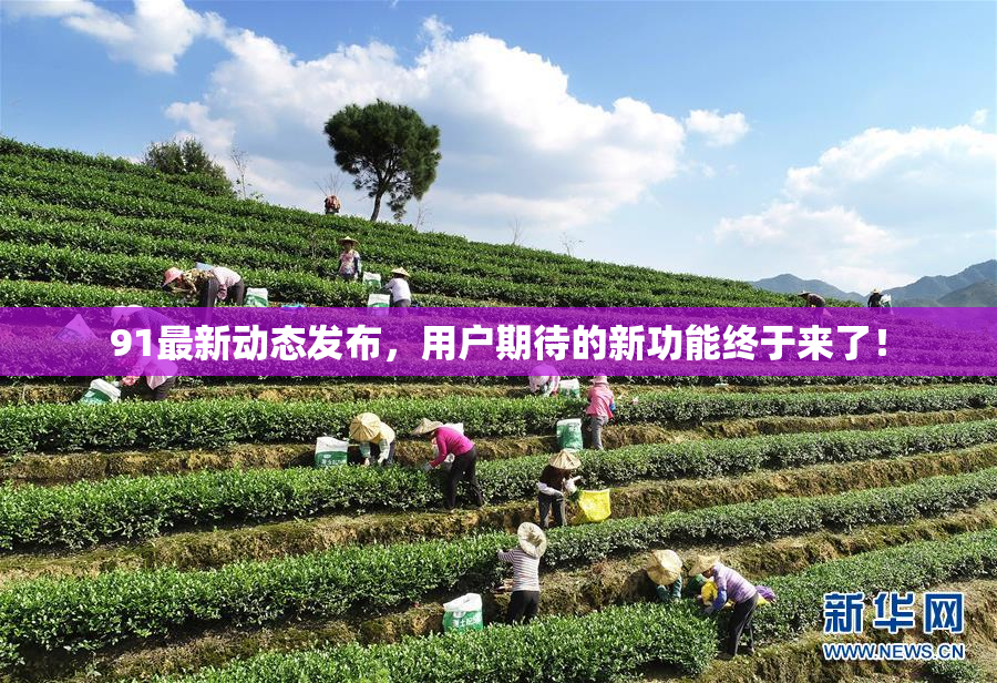 91最新动态发布，用户期待的新功能终于来了！
