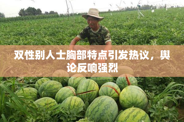 双性别人士胸部特点引发热议，舆论反响强烈