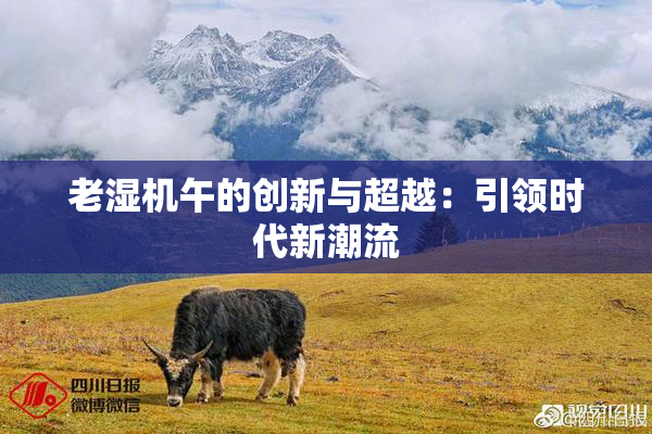 老湿机午的创新与超越：引领时代新潮流