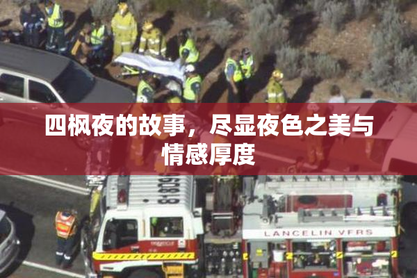四枫夜的故事，尽显夜色之美与情感厚度