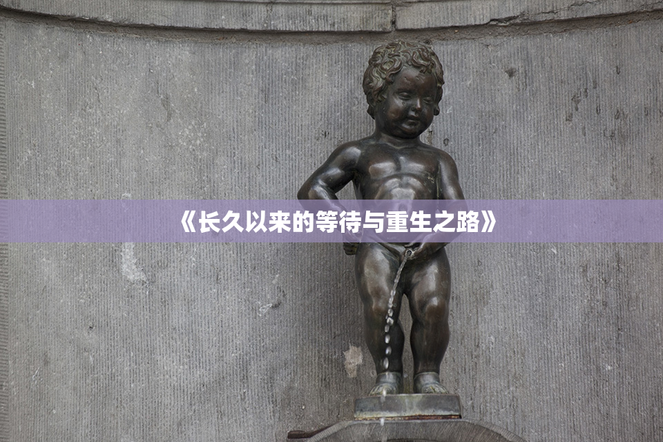 《长久以来的等待与重生之路》