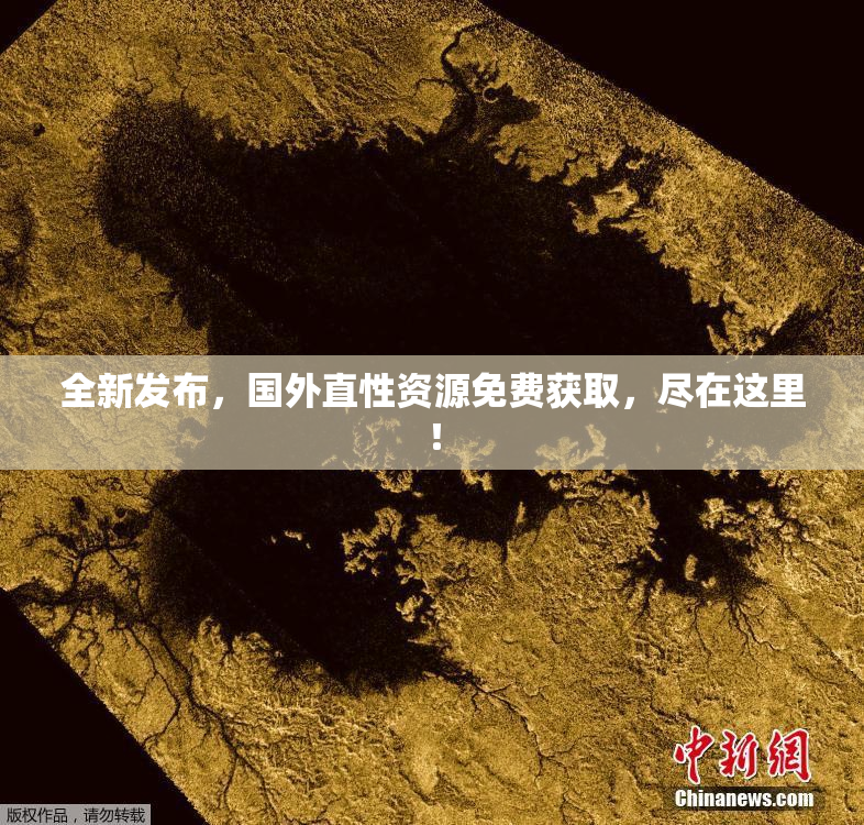 全新发布，国外直性资源免费获取，尽在这里！