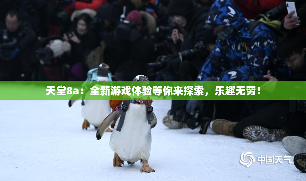 天堂8a：全新游戏体验等你来探索，乐趣无穷！