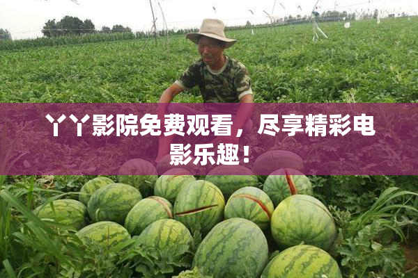 丫丫影院免费观看，尽享精彩电影乐趣！