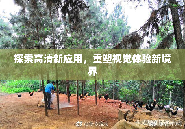 探索高清新应用，重塑视觉体验新境界