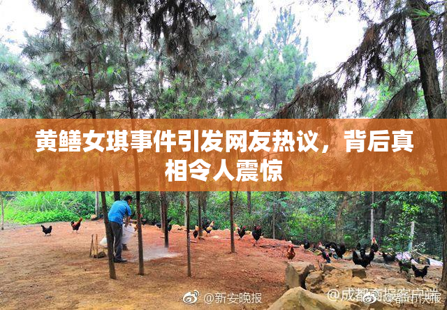 黄鳝女琪事件引发网友热议，背后真相令人震惊
