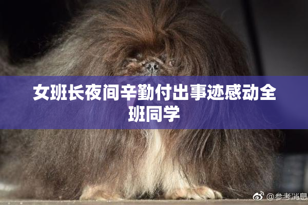 女班长夜间辛勤付出事迹感动全班同学