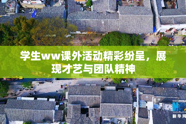 学生ww课外活动精彩纷呈，展现才艺与团队精神