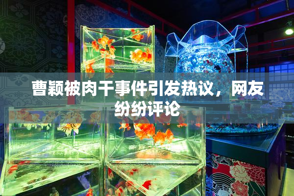 曹颖被肉干事件引发热议，网友纷纷评论
