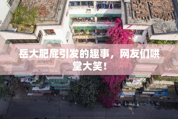 岳大肥屁引发的趣事，网友们哄堂大笑！