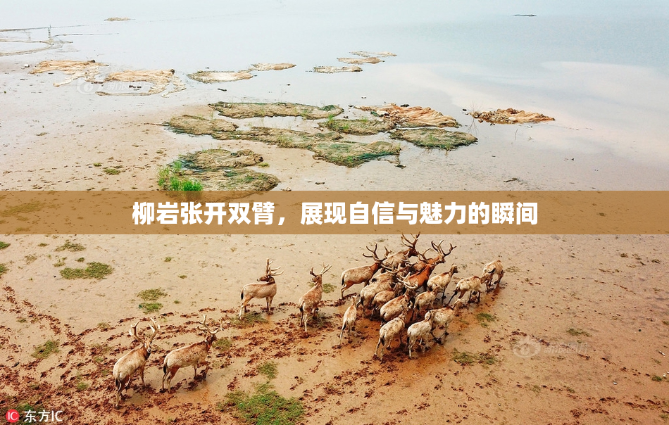 柳岩张开双臂，展现自信与魅力的瞬间