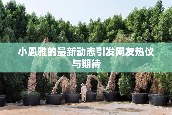 小恩雅的最新动态引发网友热议与期待