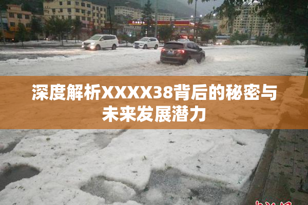 深度解析XXXX38背后的秘密与未来发展潜力