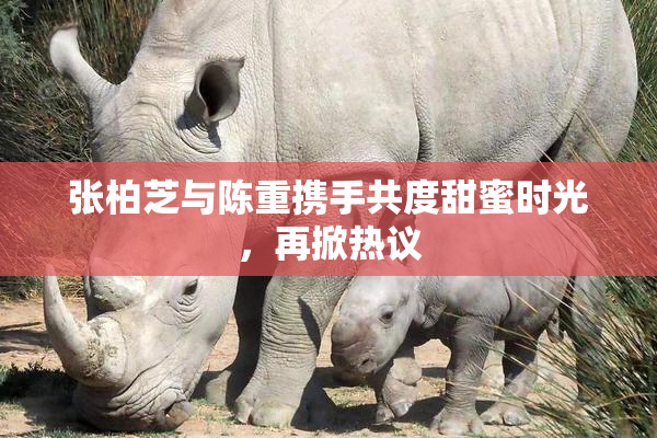 张柏芝与陈重携手共度甜蜜时光，再掀热议