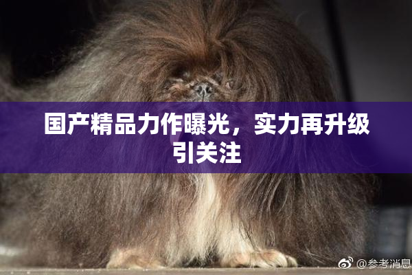国产精品力作曝光，实力再升级引关注