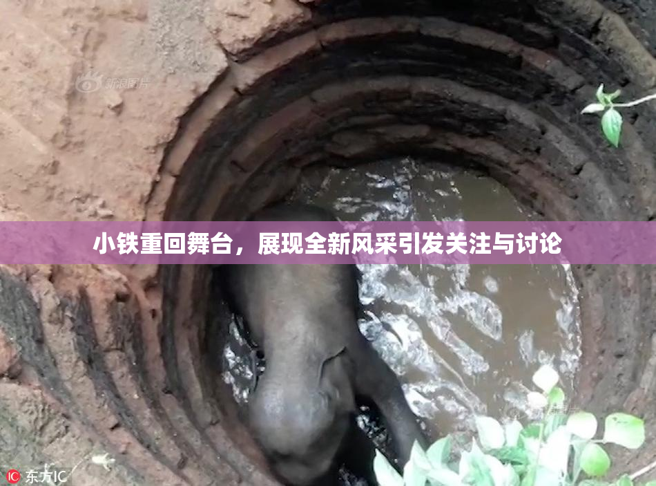 小铁重回舞台，展现全新风采引发关注与讨论