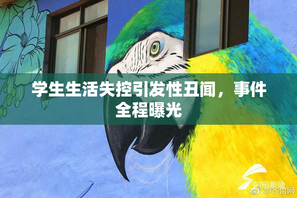 学生生活失控引发性丑闻，事件全程曝光