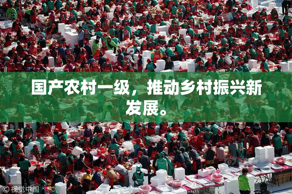 国产农村一级，推动乡村振兴新发展。
