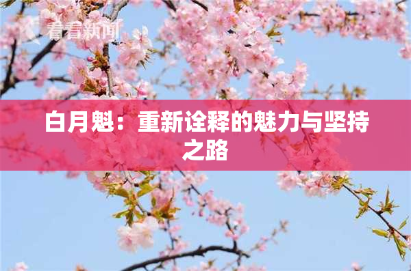 白月魁：重新诠释的魅力与坚持之路