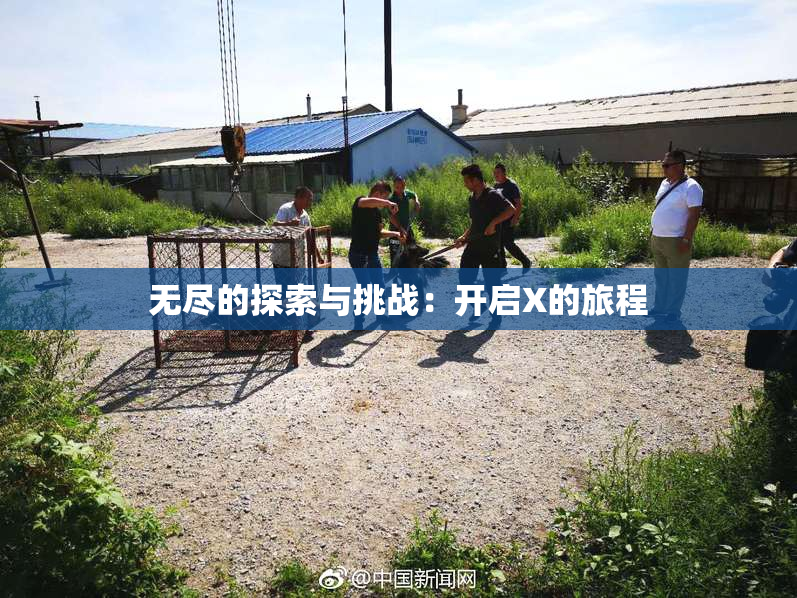 无尽的探索与挑战：开启X的旅程