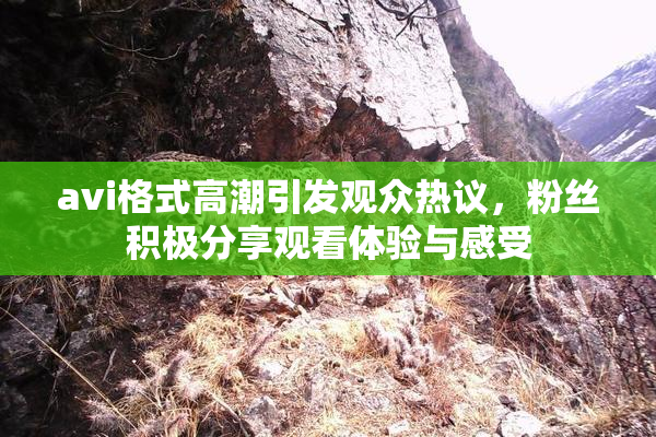 avi格式高潮引发观众热议，粉丝积极分享观看体验与感受