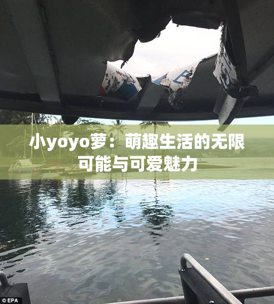 小yoyo萝：萌趣生活的无限可能与可爱魅力