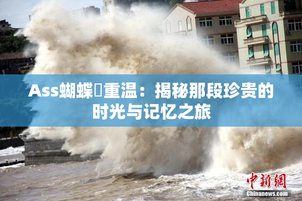 Ass蝴蝶泬重温：揭秘那段珍贵的时光与记忆之旅
