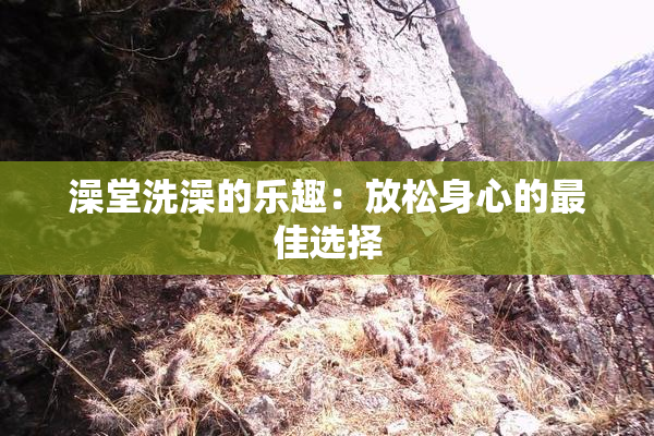 澡堂洗澡的乐趣：放松身心的最佳选择
