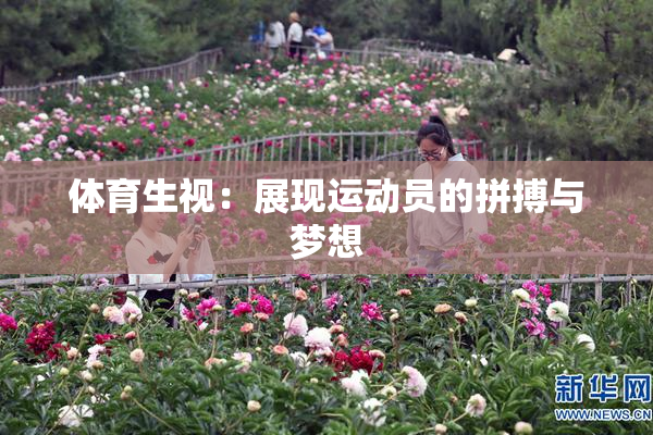 体育生视：展现运动员的拼搏与梦想