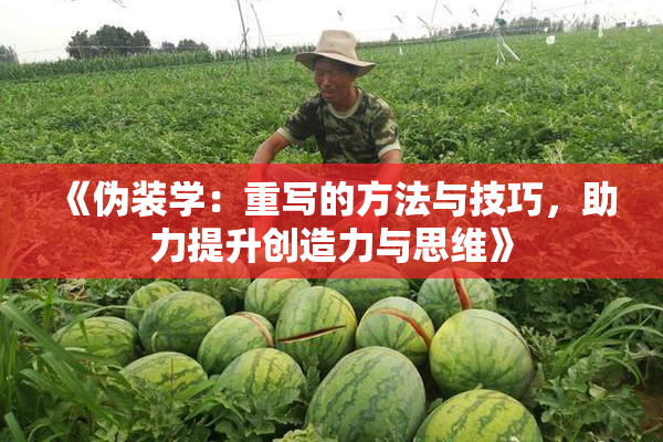 《伪装学：重写的方法与技巧，助力提升创造力与思维》