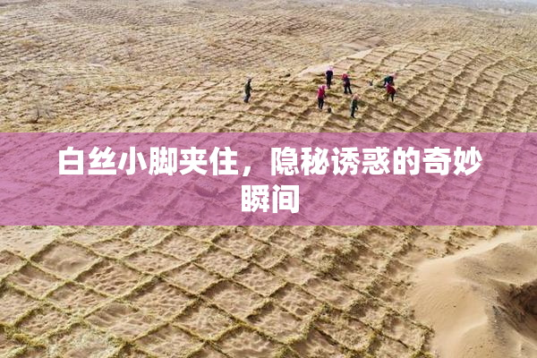 白丝小脚夹住，隐秘诱惑的奇妙瞬间