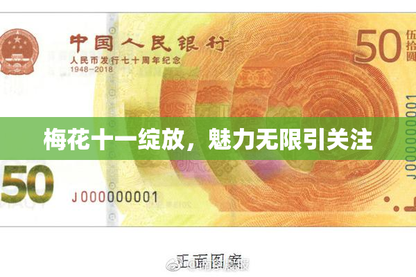 梅花十一绽放，魅力无限引关注