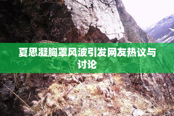 夏思凝胸罩风波引发网友热议与讨论