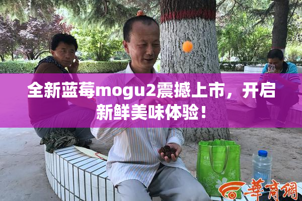 全新蓝莓mogu2震撼上市，开启新鲜美味体验！