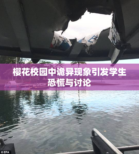 樱花校园中诡异现象引发学生恐慌与讨论