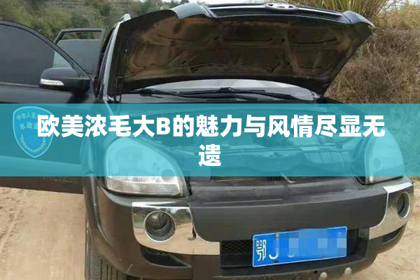 欧美浓毛大B的魅力与风情尽显无遗