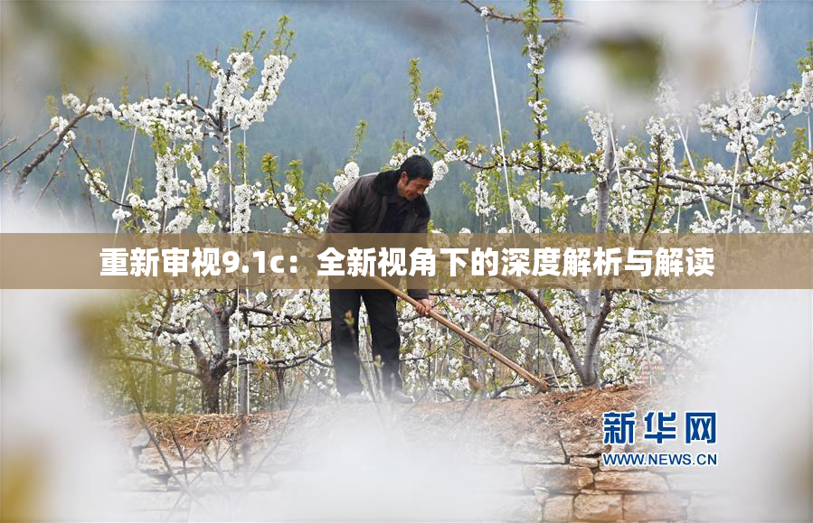 重新审视9.1c：全新视角下的深度解析与解读