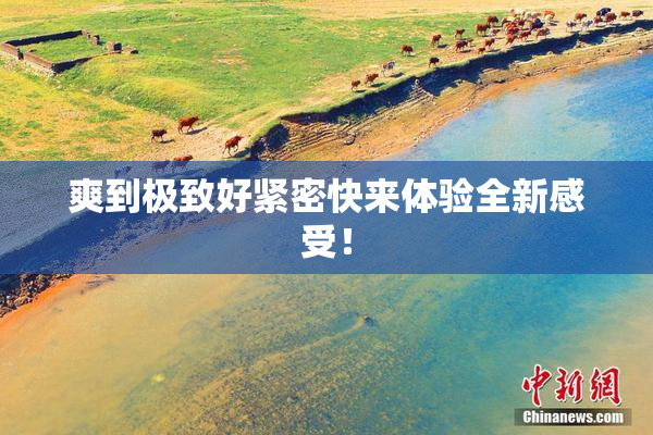 爽到极致好紧密快来体验全新感受！