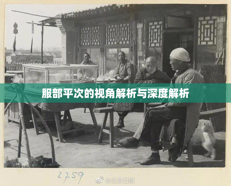 服部平次的视角解析与深度解析