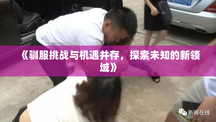 《驯服挑战与机遇并存，探索未知的新领域》