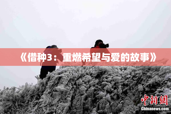 《借种3：重燃希望与爱的故事》