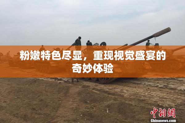 粉嫩特色尽显，重现视觉盛宴的奇妙体验