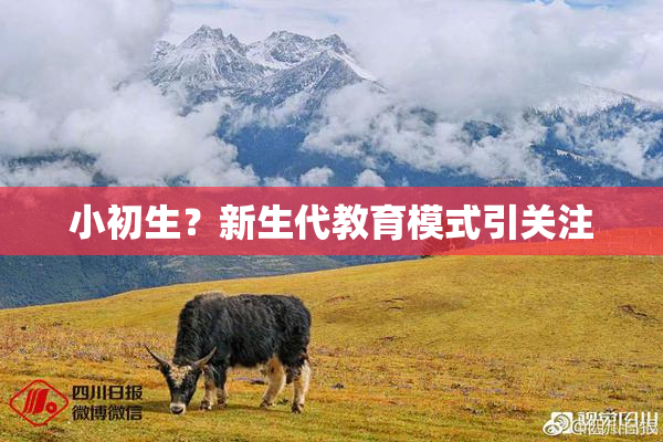 小初生？新生代教育模式引关注