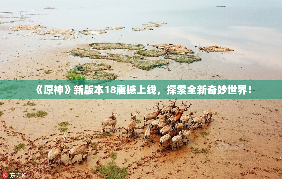 《原神》新版本18震撼上线，探索全新奇妙世界！