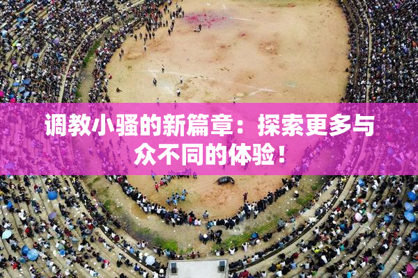 调教小骚的新篇章：探索更多与众不同的体验！