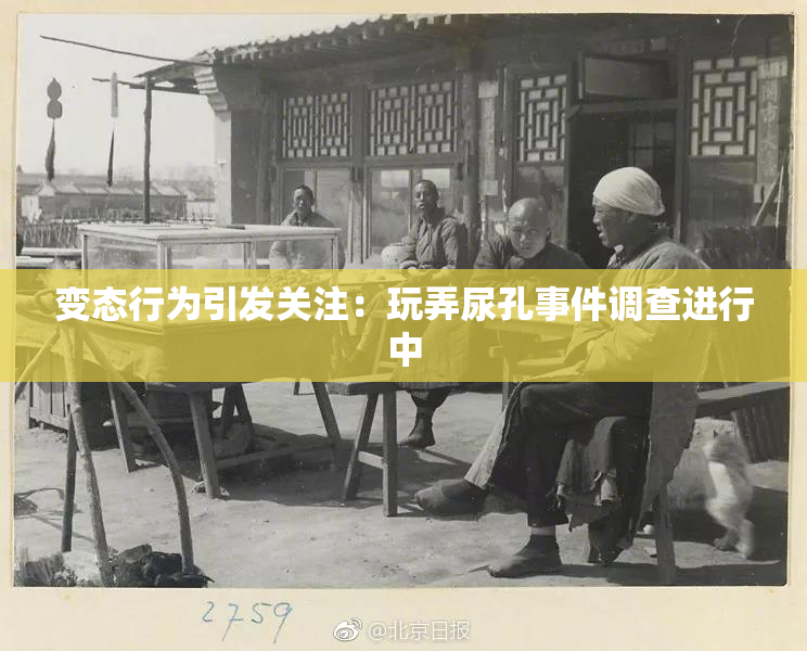 变态行为引发关注：玩弄尿孔事件调查进行中